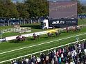 Salisbury Race Day